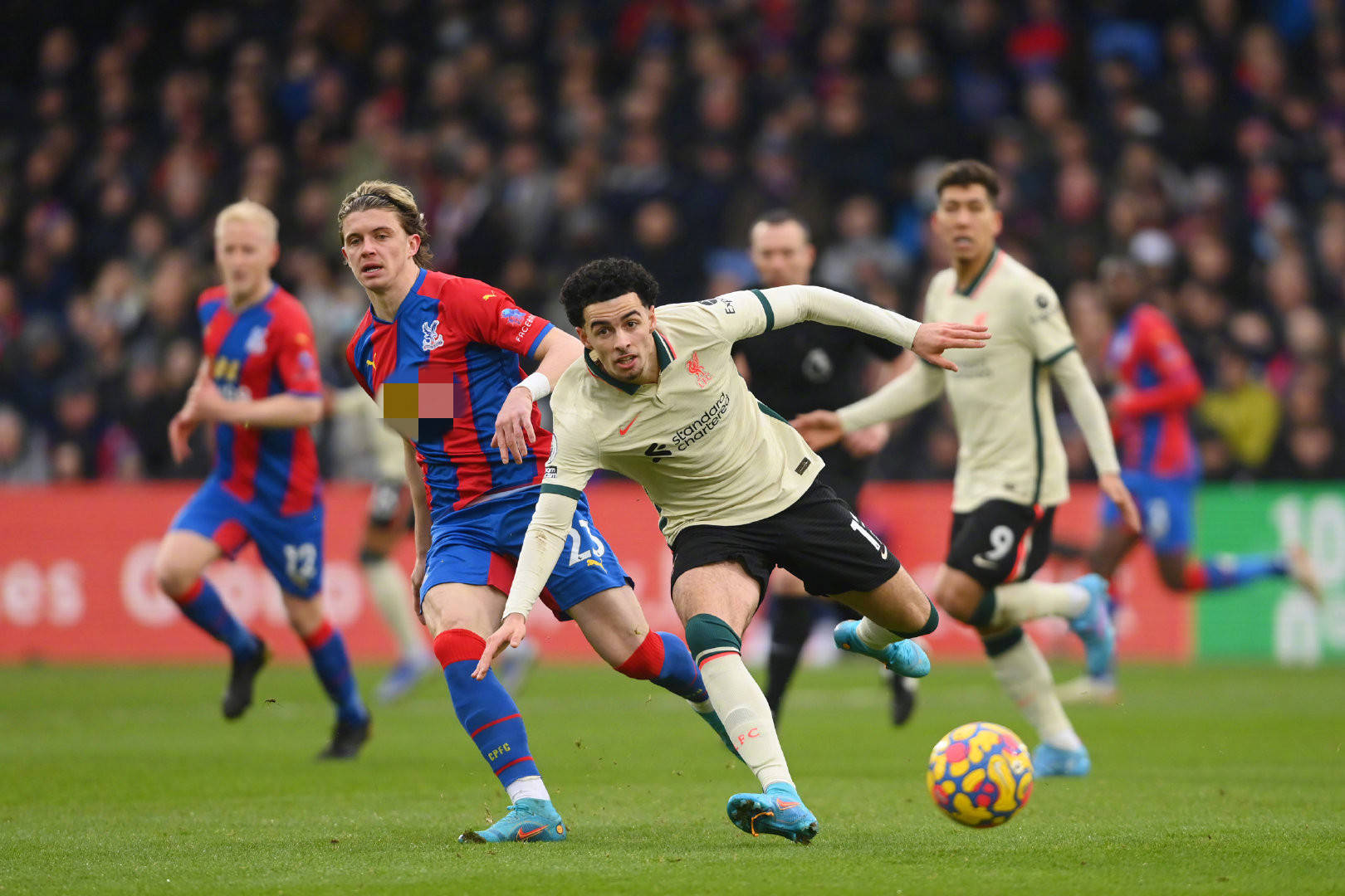 正是这种多 正是这种多